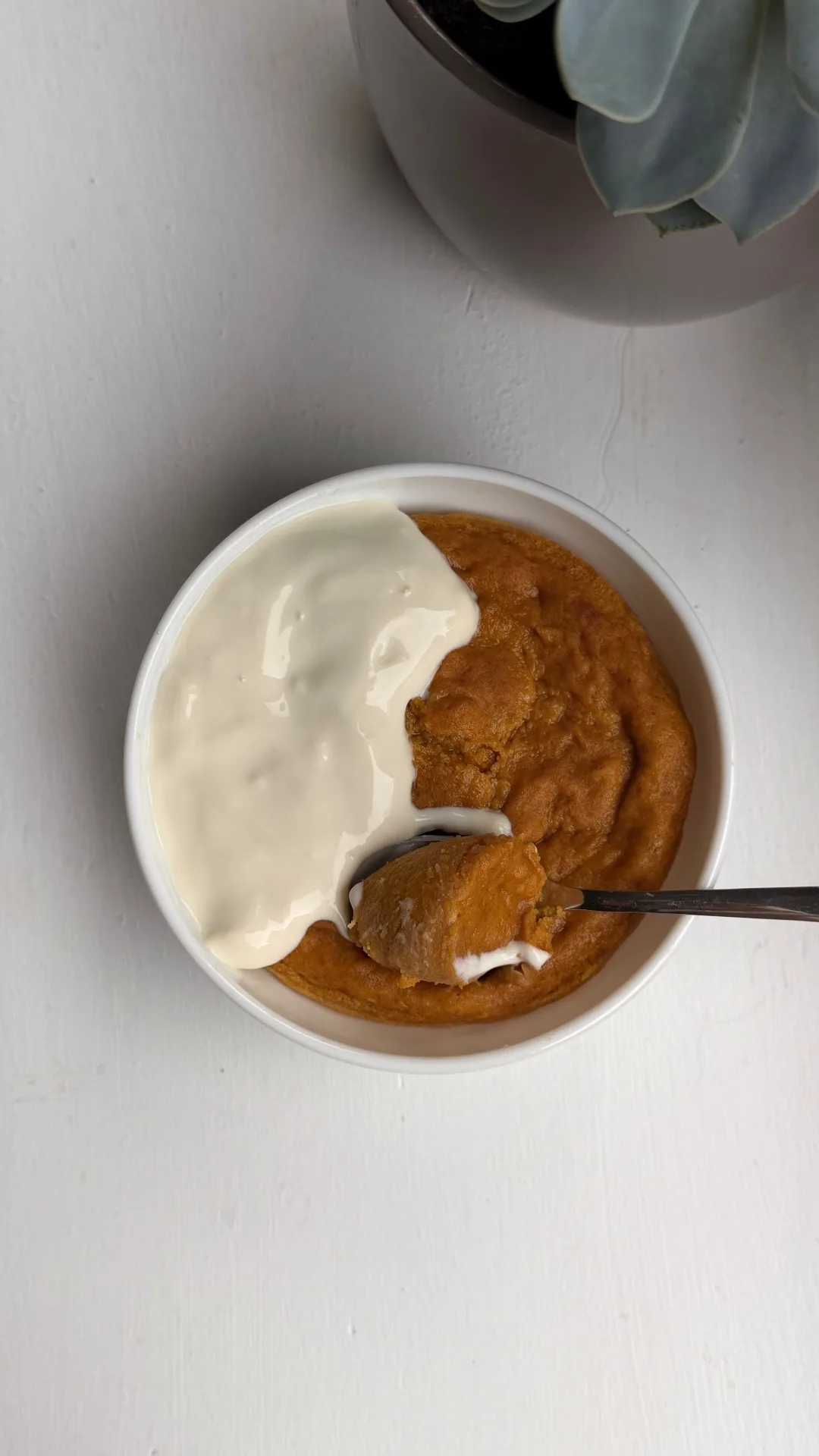 Tortino zucca e cannella al vapore